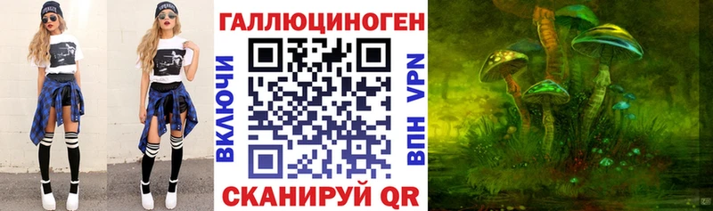 Псилоцибиновые грибы Psilocybe  Купить  Болхов 